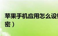 苹果手机应用怎么设锁（苹果手机应用怎么加密）