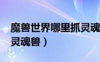 魔兽世界哪里抓灵魂兽（魔兽世界8.0怎么抓灵魂兽）