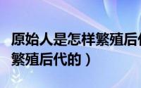 原始人是怎样繁殖后代的图片（原始人是怎样繁殖后代的）