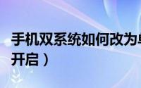 手机双系统如何改为单系统（手机双系统如何开启）