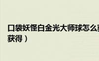 口袋妖怪白金光大师球怎么获得（口袋妖怪白金快速球如何获得）