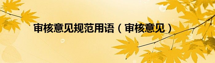 审核意见规范用语（审核意见）
