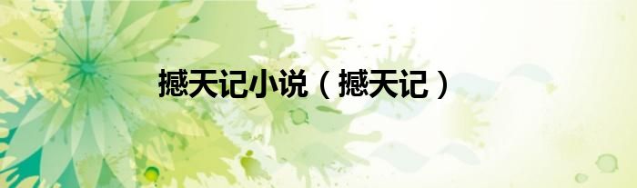 撼天记小说（撼天记）