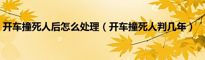开车撞死人后怎么处理（开车撞死人判几年）