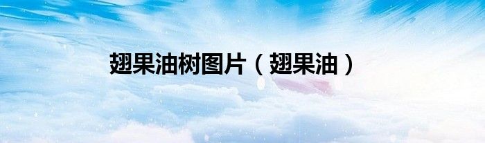 翅果油树图片（翅果油）