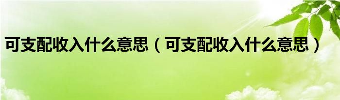 可支配收入什么意思（可支配收入什么意思）