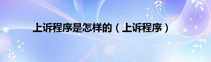 上诉程序是怎样的（上诉程序）