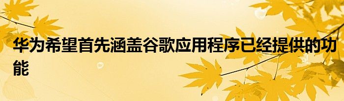 华为希望首先涵盖谷歌应用程序已经提供的功能