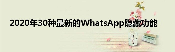 2020年30种最新的WhatsApp隐藏功能