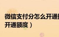 微信支付分怎么开通拼多多（微信支付分怎么开通额度）