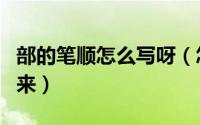 部的笔顺怎么写呀（怎样把部首和笔顺展示出来）