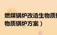 燃煤锅炉改造生物质锅炉厂（燃煤锅炉改造生物质锅炉方案）