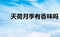 天荷月季有香味吗（天荷月季怎么养）