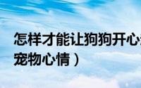 怎样才能让狗狗开心起来（如何快速提高QQ宠物心情）