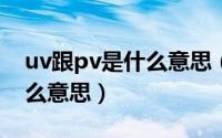 uv跟pv是什么意思（PV、UV、IP分别是什么意思）