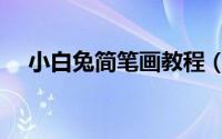 小白兔简笔画教程（小白兔简笔画教程）