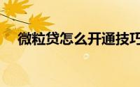 微粒贷怎么开通技巧（微粒贷怎么开通）