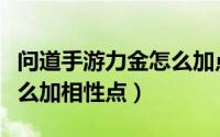 问道手游力金怎么加点最好（问道手游力金怎么加相性点）