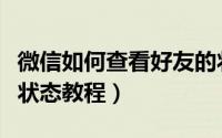 微信如何查看好友的状态（怎样查看好友微信状态教程）