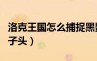 洛克王国怎么捕捉黑影（洛克王国怎么捕捉豹子头）