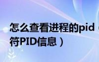 怎么查看进程的pid（怎么查看电脑进程标识符PID信息）