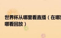 世界杯从哪里看直播（在哪里能看世界杯直播错过了直播在哪看回放）