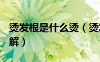 烫发根是什么烫（烫发根原理大剖析种类~详解）