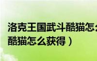 洛克王国武斗酷猫怎么学电弧（洛克王国武斗酷猫怎么获得）
