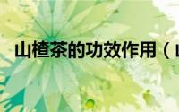 山楂茶的功效作用（山楂茶的功效与作用）