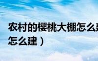 农村的樱桃大棚怎么建冷棚（农村的樱桃大棚怎么建）