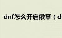 dnf怎么开启徽章（dnf怎么开启徽章镶嵌）