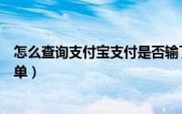 怎么查询支付宝支付是否输了密码（怎么查询支付宝支付账单）