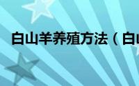白山羊养殖方法（白山羊的科学养殖技术）