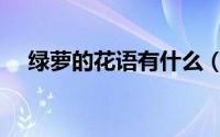 绿萝的花语有什么（绿萝的花语和品种）