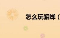 怎么玩貂蝉（怎么玩外汇）
