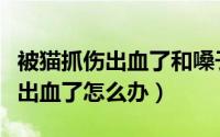 被猫抓伤出血了和嗓子疼有关系吗（被猫抓伤出血了怎么办）