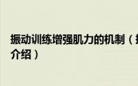 振动训练增强肌力的机制（振动训练的功能以及生理性原理介绍）