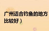 广州适合钓鱼的地方（在广州钓鱼去哪些地方比较好）