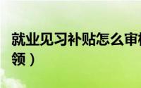 就业见习补贴怎么审核（就业见习补贴怎么申领）