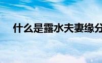 什么是露水夫妻缘分（什么是露水夫妻）
