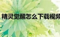 精灵觉醒怎么下载视频（精灵觉醒怎么下载）