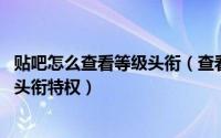 贴吧怎么查看等级头衔（查看百度贴吧本吧头衔、升级规则、头衔特权）