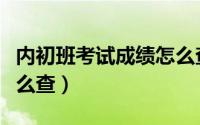 内初班考试成绩怎么查询（内初班考试成绩怎么查）