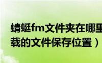 蜻蜓fm文件夹在哪里（蜻蜓 FM 如何查看下载的文件保存位置）