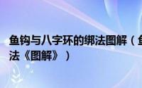 鱼钩与八字环的绑法图解（鱼钩双钩的绑法 鱼钩上八字环绑法《图解》）