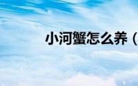 小河蟹怎么养（小河蟹怎么养）