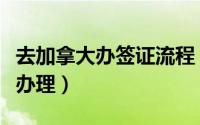 去加拿大办签证流程（去加拿大生子签证怎么办理）