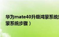 华为mate40升级鸿蒙系统效果如何（华为mate40升级鸿蒙系统步骤）