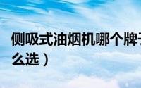 侧吸式油烟机哪个牌子的好（侧吸式油烟机怎么选）