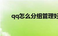 qq怎么分组管理好友（qq怎么分组）